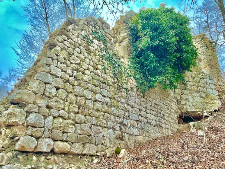 Burgruine Neu Wildon, Wildon, Austria, Austria